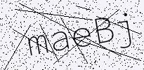 captcha verification